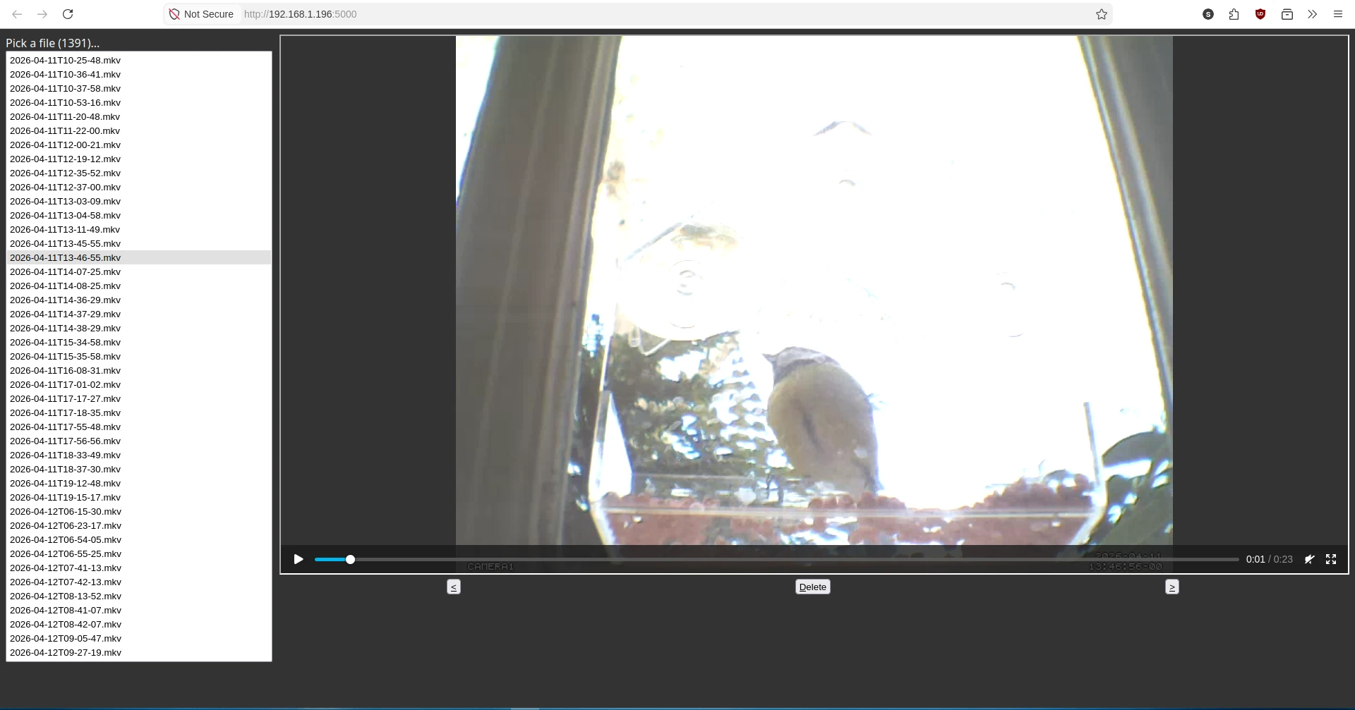Screenshot of bird webcam dashboard