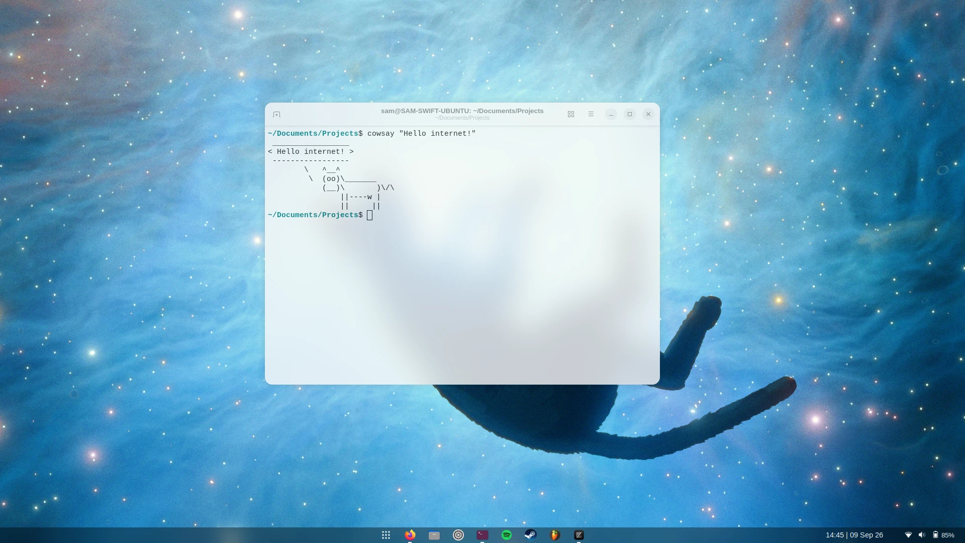The wallpaper is a screenshot from the fantastic movie, Flow (2024).